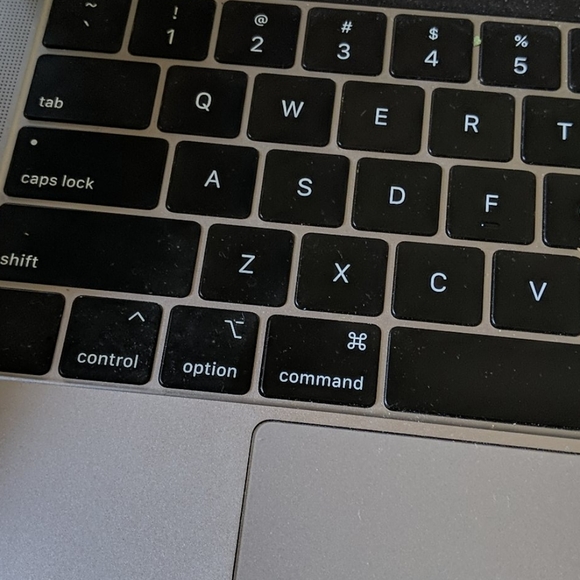 NWT - Picture 15 of 16